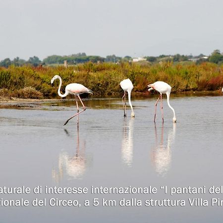 Villa Piri Сабаудія Екстер'єр фото
